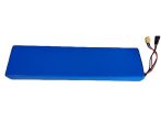 ESEGWAY BATTERIE LITHIUM-IONEN  48V 13Ah
