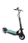   Elektroroller 10" 18Ah Schwarz 500watt Straßenzulassung